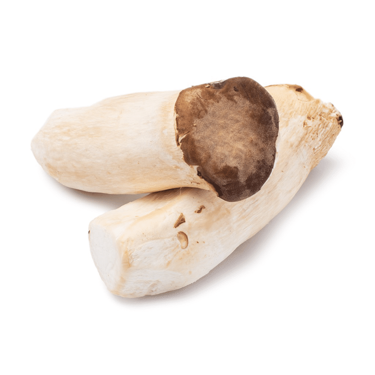King Oyster Mushrooms 1 lb